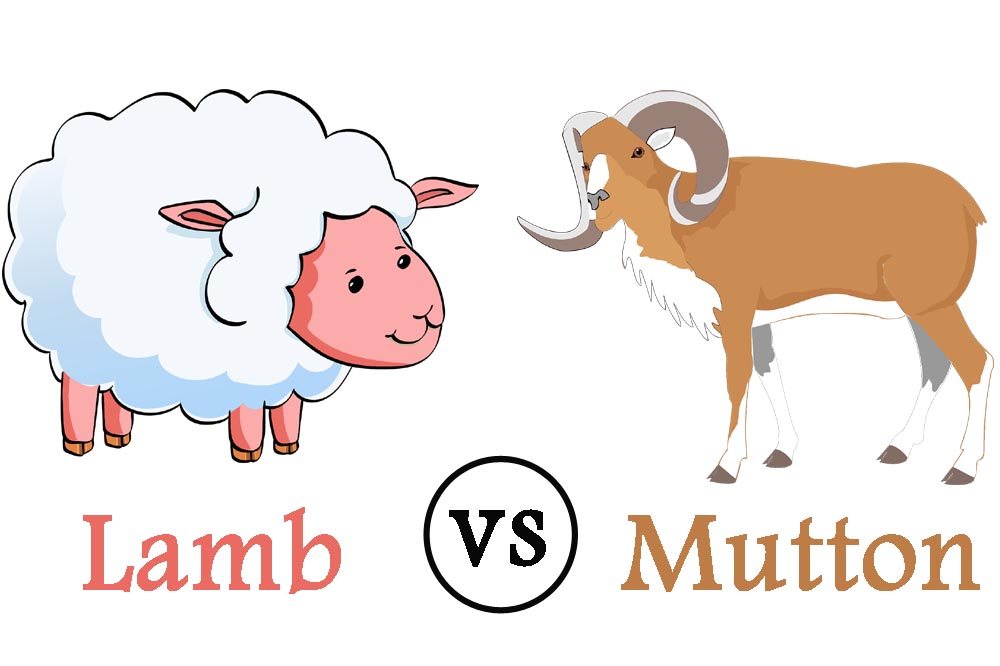 Lamb vs mutton benefits