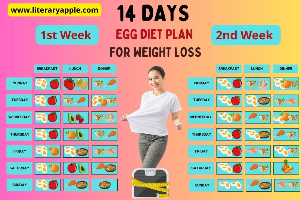 14 Days Boiled Egg Diet Plan For Weight Loss Literary Apple