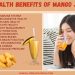 Health Benefits of Mango Juice