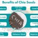 Benefits-of-Chia-Seeds