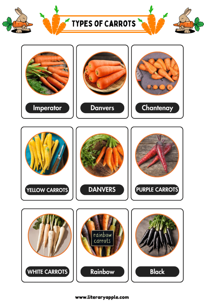 10 types of carrot