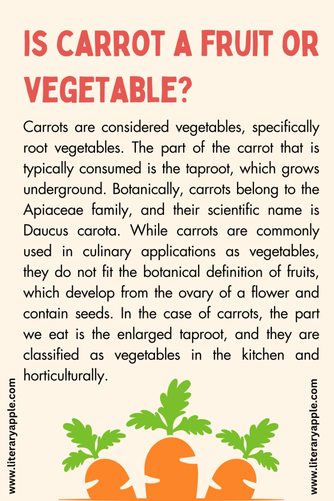 carrot fruit or vegetable