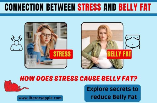 Connection between Stress and Belly Fat (stress belly)