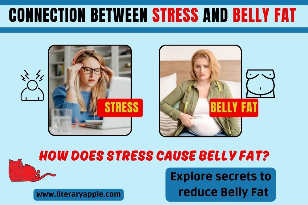 Connection between Stress and Belly Fat (stress belly)