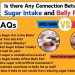 Connection between Sugar Intake and Belly Fat