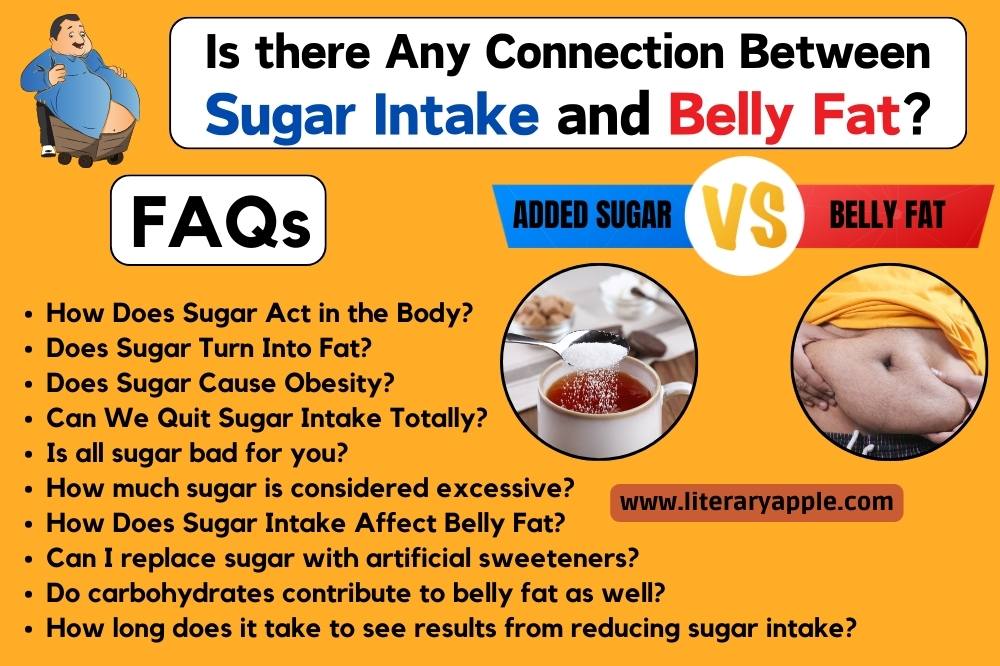 Connection between Sugar Intake and Belly Fat