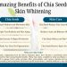 10 Amazing Benefits of Chia Seeds for Skin Whitening