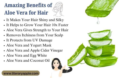 Amazing Benefits of Aloe Vera for Hair