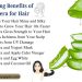 Amazing Benefits of Aloe Vera for Hair