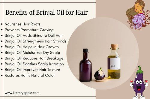 Benefits of Brinjal Oil for Hair