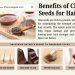 Benefits of Chia Seeds for Hair