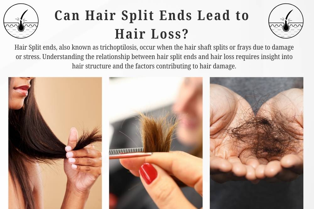 Can Hair Split Ends Lead to Hair Loss?